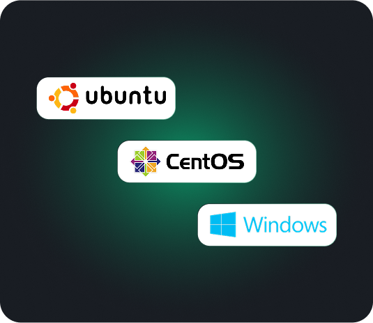 VPS OS